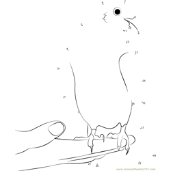White Dove Resting On A Hand Dot to Dot Worksheet