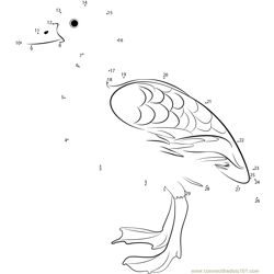 Fulvous Tree Duck Dot to Dot Worksheet