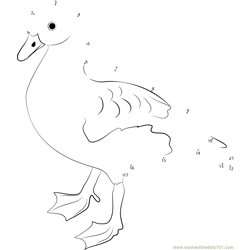 West Indian Whistling Duck Dot to Dot Worksheet