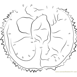 Delicious Durian Dot to Dot Worksheet