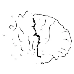 Complete the Shell Shape Dot to Dot Worksheet