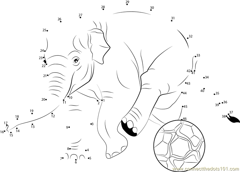 Elephant Soccer