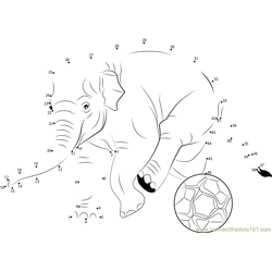 Elephant Soccer Dot to Dot Worksheet