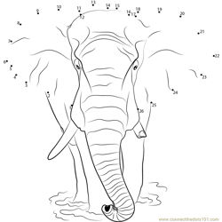 Loxodonta Africana Elephant Dot to Dot Worksheet