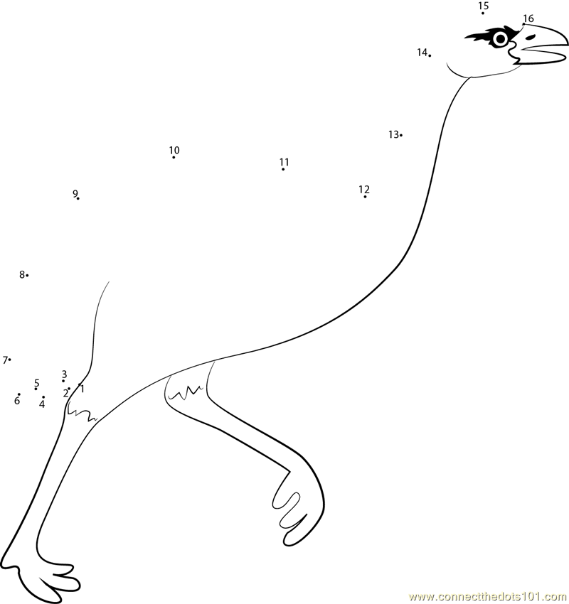Emu Run
