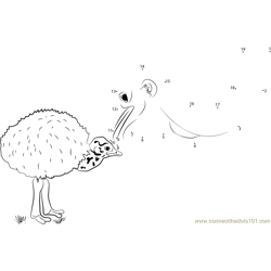 Baby Emu with his Mother Dot to Dot Worksheet