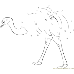 Emu Bird Walk Dot to Dot Worksheet