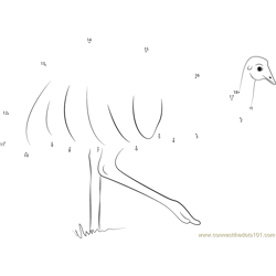 Emu Long Legs Dot to Dot Worksheet