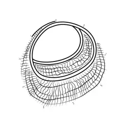 Market Basket Formation Sequence Dot to Dot Worksheet
