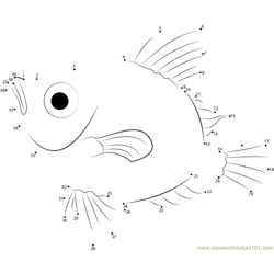 Boar Fish Dot to Dot Worksheet
