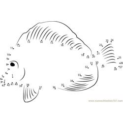 Cute Fish Dot to Dot Worksheet