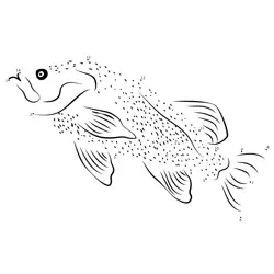 Goldfish Numerical Sequence Game Dot to Dot Worksheet