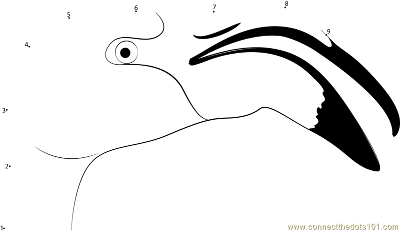 A Flamingo With its Beak Open
