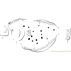 Spotted Flounder Dot to Dot Worksheet