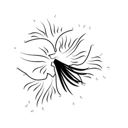 Amaryllis Bloom Progression Fun Dot to Dot Worksheet