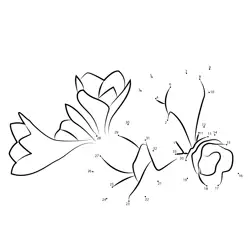 Amaryllis Bloom Sequence Dot to Dot Worksheet
