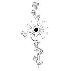 Summer Flower Bloom Scene Dot to Dot Worksheet