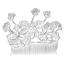Geranium Blooms In Container Dot to Dot Worksheet