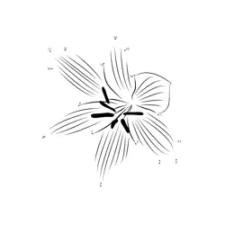 Lily Bloom Dot Journey Dot to Dot Worksheet