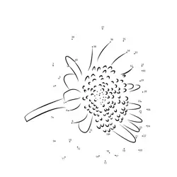 Lovely Blooming Flower Dot to Dot Worksheet