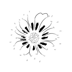 Sequential Gazania Petal Formation Dot to Dot Worksheet