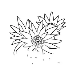 Water Lily Number Sequence Dot to Dot Worksheet