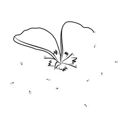 Tropical Flower Shape Game Dot to Dot Worksheet