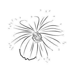 Cosmos Blossom Shape Challenge Dot to Dot Worksheet