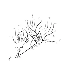 Pretty Petal Creation Dot to Dot Worksheet