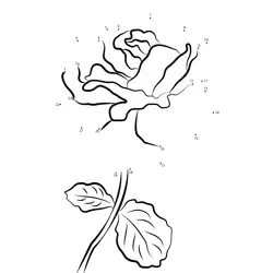 Detailed Rose Petals Formation Dot to Dot Worksheet