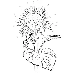 Giant Sunflower Blossom Quest Dot to Dot Worksheet