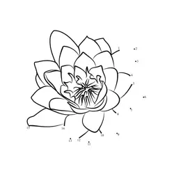 Water Lily Numeral Sequence Dot to Dot Worksheet