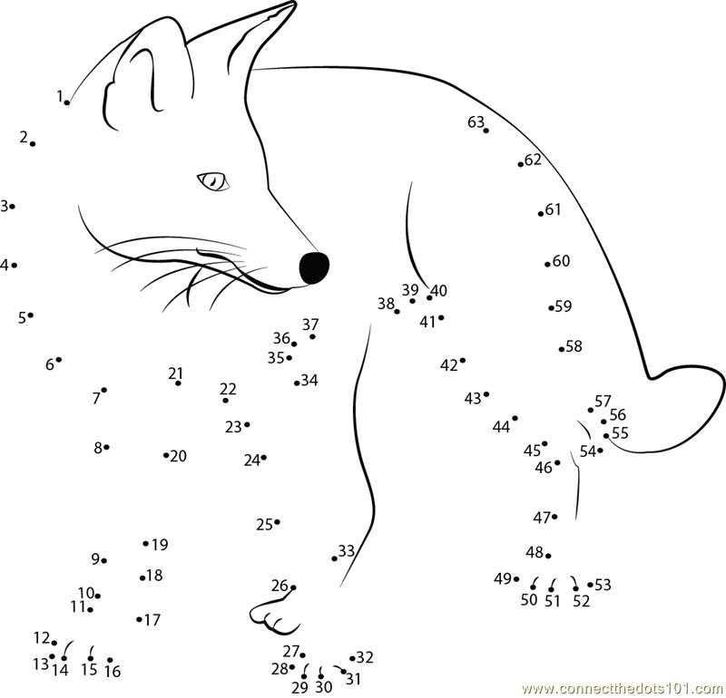angry fox dot to dot printable worksheet connect the dots