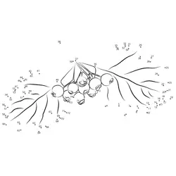 Berry Branch Counting Adventure Dot to Dot Worksheet