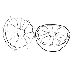 Simple Citrus Fruit Slices Dot to Dot Worksheet
