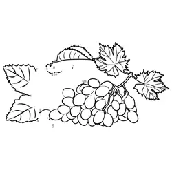 Grape Vines Progression Dot to Dot Worksheet