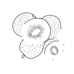 Tropical Kiwi Fruit Harvest Dot to Dot Worksheet