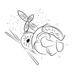 Fresh Citrus Beverage Ingredients Dot to Dot Worksheet