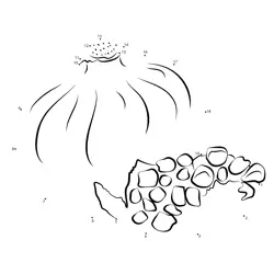 Sweet Pomegranate Half Discovery Dot to Dot Worksheet
