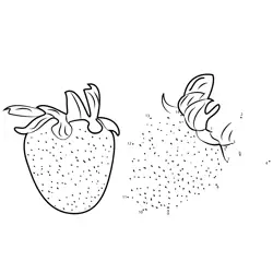 Connect the Strawberry Numerically Dot to Dot Worksheet
