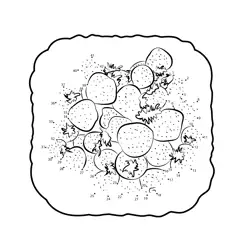 Sweet Berries Numeric Fun Dot to Dot Worksheet