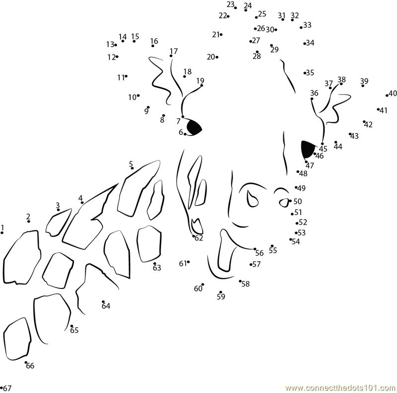 Connect The Dots Animal Printables Free Coloring Pages To Print Connect The Dots Animal Printables Free Coloring Pages To Print