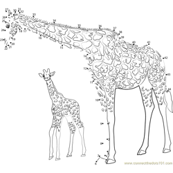 Giraffe with Baby Dot to Dot Worksheet