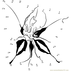 Gladiolus Flower Dot to Dot Worksheet