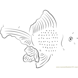 Aquarium Goldfish Dot to Dot Worksheet