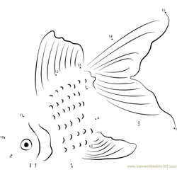 Fantail Goldfish Dot to Dot Worksheet