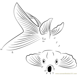 Goldfish Open Mouth Dot to Dot Worksheet