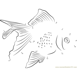 Pearl Goldfish Dot to Dot Worksheet