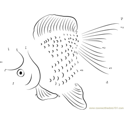 Ranchu Goldfish Dot to Dot Worksheet