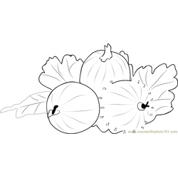 Goose Berries Dot to Dot Worksheet